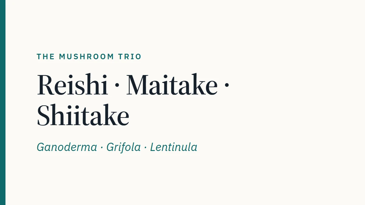 Card reading Reishi, Maitake and Shiitake - the mushroom trio